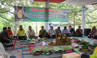 Petani Durian di Kabupaten Blora Gelar Syukuran