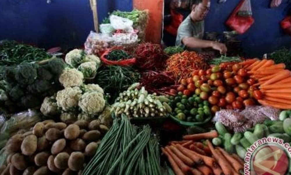 Harga Tomat di Klaten Naik Setara Dengan Harga Telur Ayam