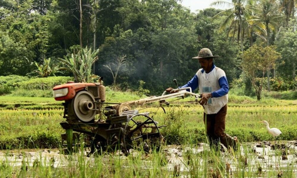 Dampak Negatif Teknologi dalam Pertanian: Menilik Sisi Gelap dari Kemajuan