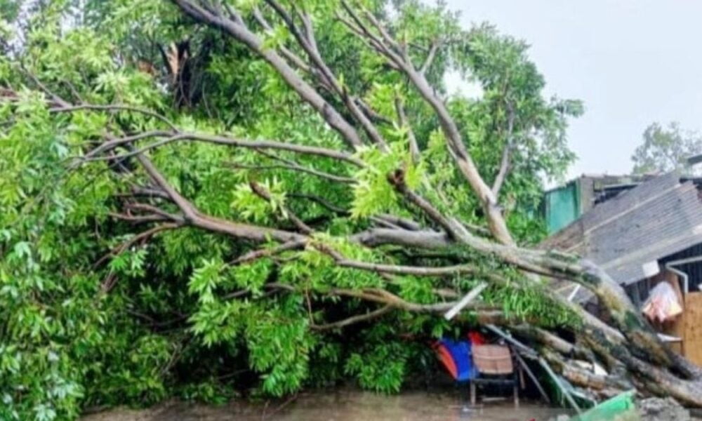 Hujan Deras dan Angin Kencang Rusak Rumah Warga di Desa Cibening, Bogor