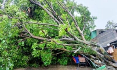 Hujan Deras dan Angin Kencang Rusak Rumah Warga di Desa Cibening, Bogor