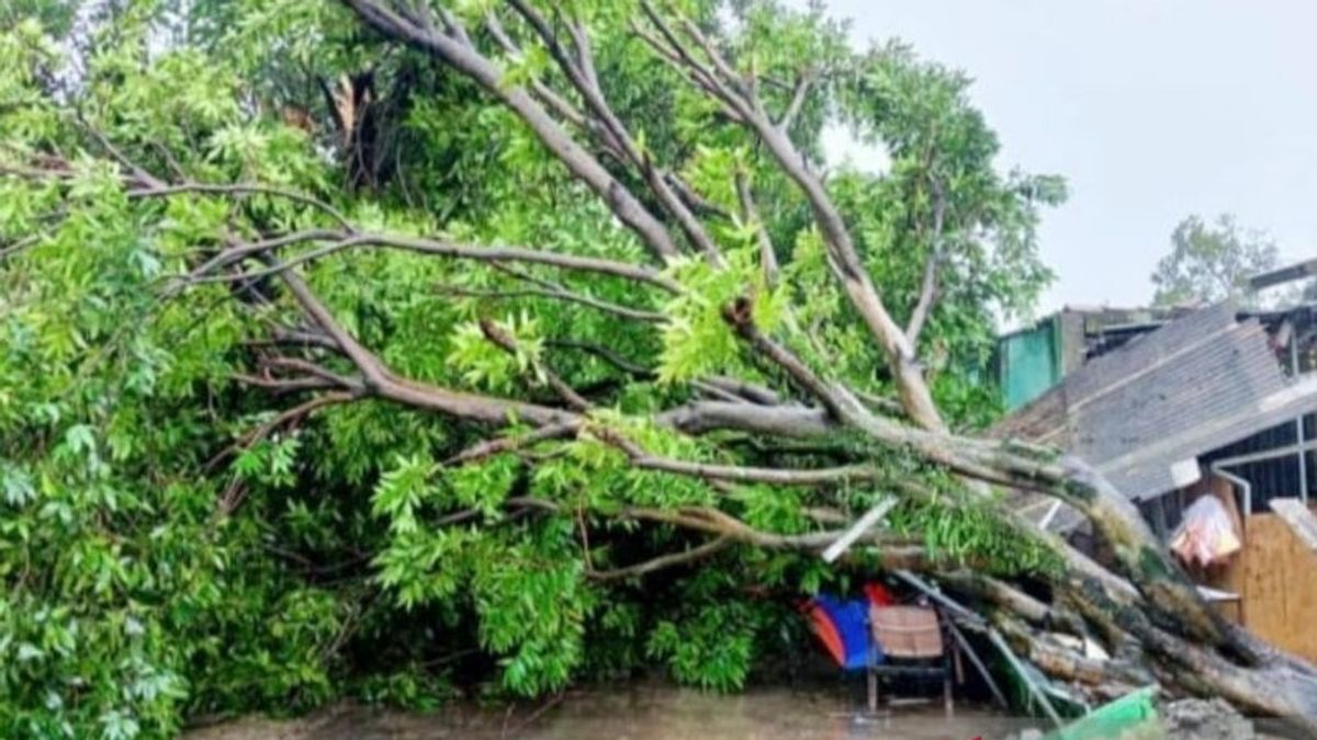 Hujan Deras dan Angin Kencang Rusak Rumah Warga di Desa Cibening, Bogor