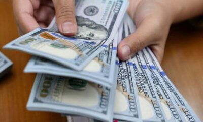 Memahami Jenis-Jenis Devisa dan Fungsinya dalam Transaksi Internasional