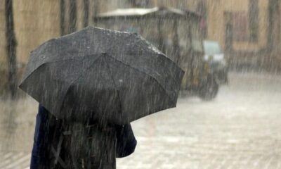 Peran Penting Hujan dalam Kehidupan: Mengapa Kita Perlu Bersyukur atas Setiap Tetesnya