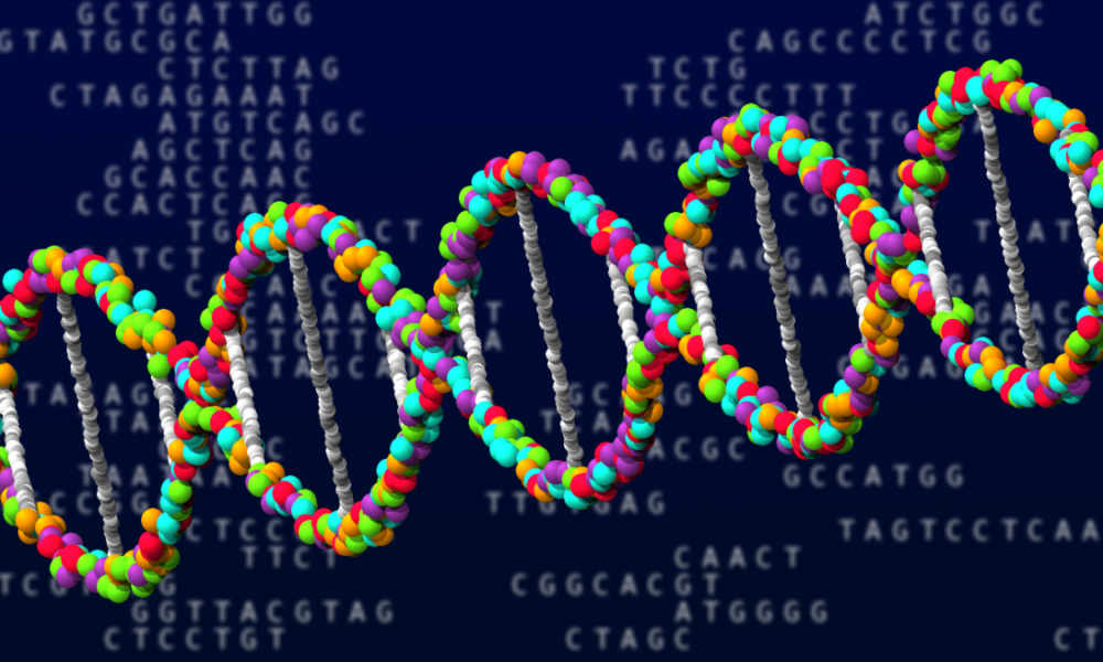 Perbedaan Penting antara DNA dan RNA