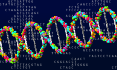 Perbedaan Penting antara DNA dan RNA