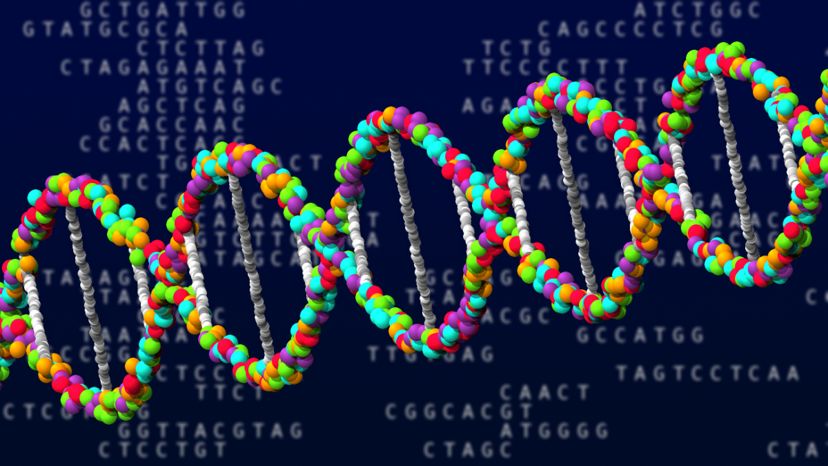 Perbedaan Penting antara DNA dan RNA