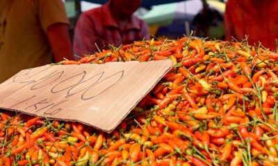 Harga Komoditas Pangan Naik di Pekan Kelima Mei 2024