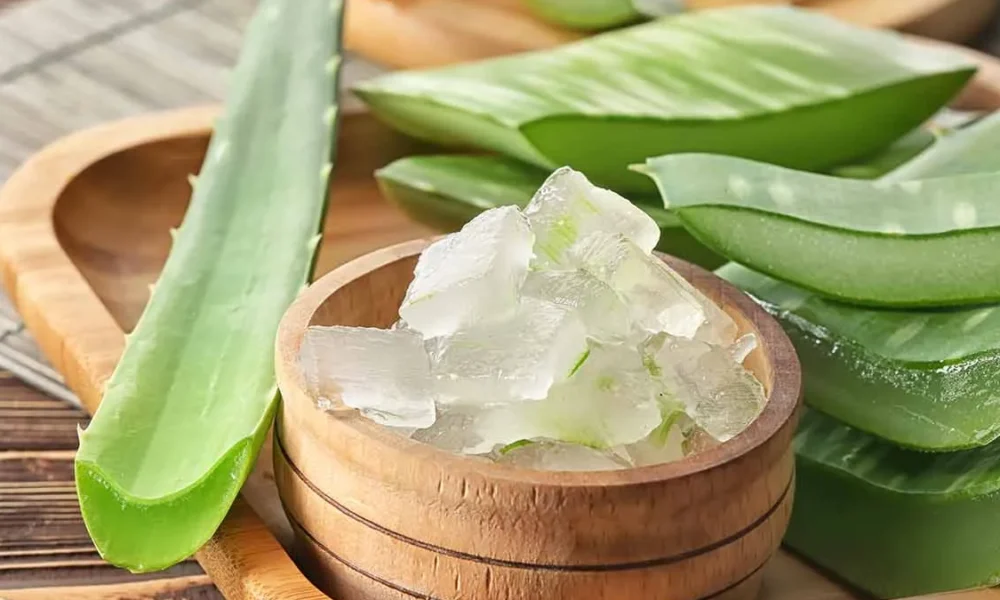 Manfaat dan Cara Penggunaan Lidah Buaya untuk Perawatan Wajah