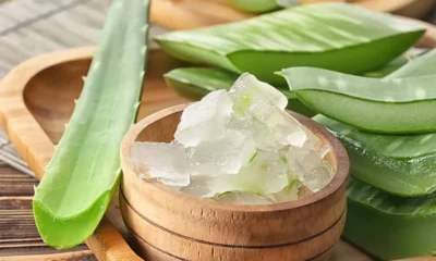 Manfaat dan Cara Penggunaan Lidah Buaya untuk Perawatan Wajah