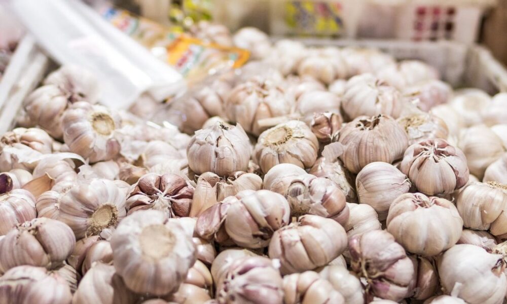 Manfaat Kesehatan Luar Biasa dari Bawang Putih: Bukan Sekadar Bumbu Dapur