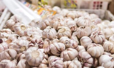 Manfaat Kesehatan Luar Biasa dari Bawang Putih: Bukan Sekadar Bumbu Dapur