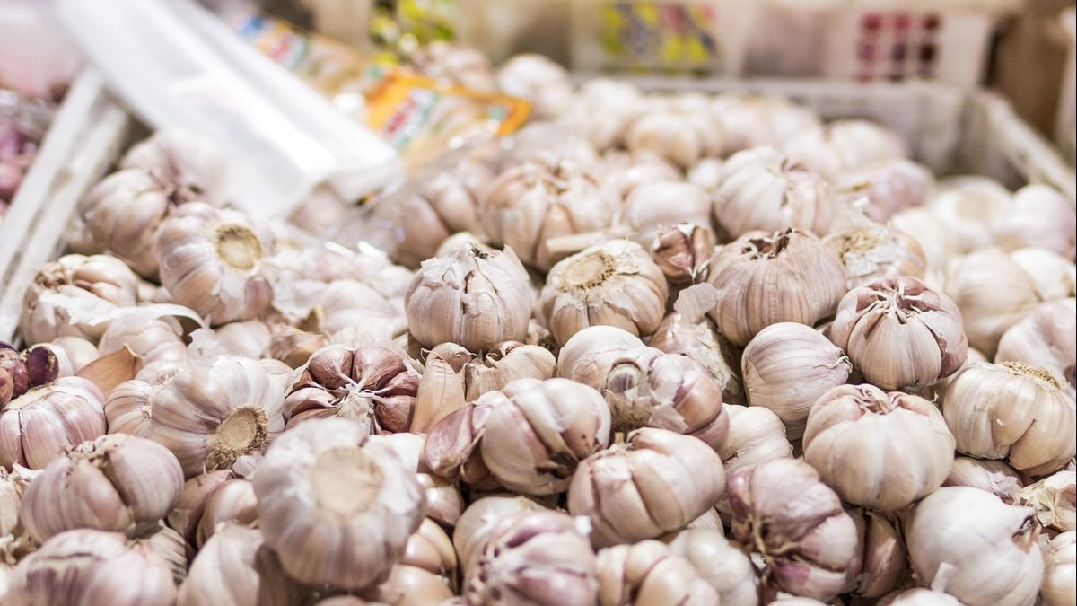 Manfaat Kesehatan Luar Biasa dari Bawang Putih: Bukan Sekadar Bumbu Dapur