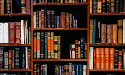 Interjeksi: Pengertian, Fungsi, dan Contoh