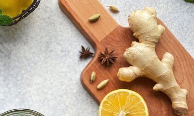 Mengenal Tanaman Obat: Manfaat, Karakteristik, dan Cara Budidayanya