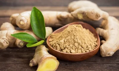 Manfaat Air Jahe dalam Menurunkan Berat Badan dan Kesehatan Umum