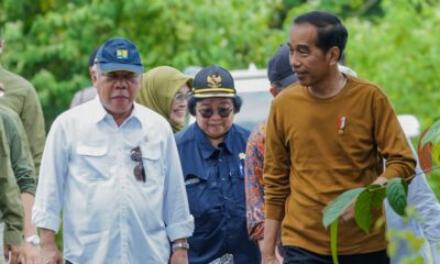 Presiden Jokowi Memuji Penghijauan di Balikpapan dan Surabaya, Dorong Konsep Kota Hijau