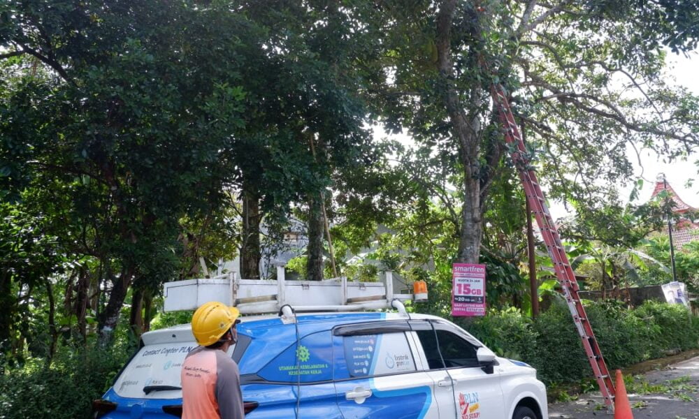 Listrik Andal Jelang Idul Adha 1445, PLN UP3 Salatiga Lakukan Pemeliharaan Rutin