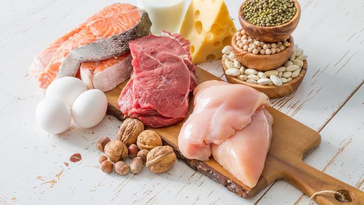Pentingnya Protein bagi Tubuh Manusia