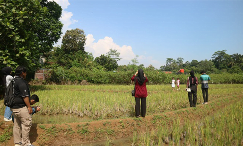 Mahasiswa Ilmu Komunikasi Universitas Semarang Abadikan Foto di Desa Wisata Kandri dalam Program MBKM