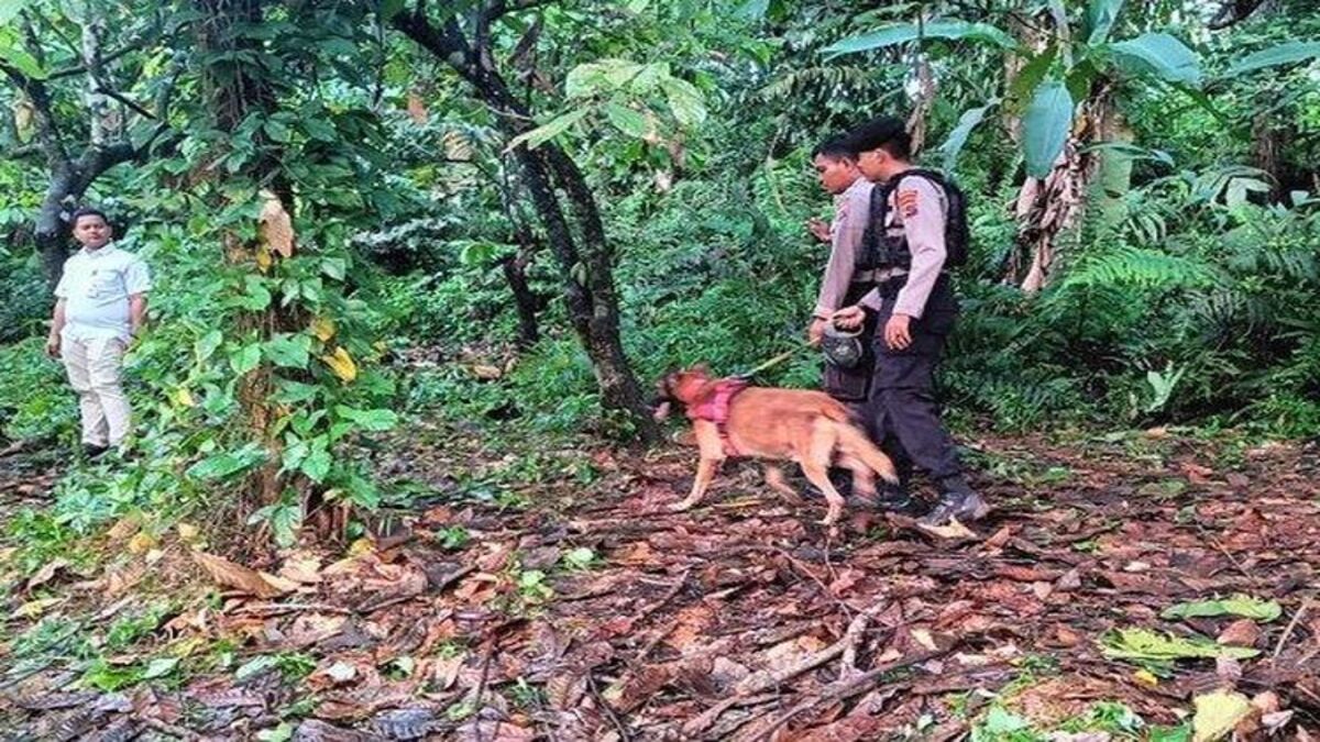 Polisi Sisir Perbukitan Buru Pembunuh Gadis Penjual Gorengan