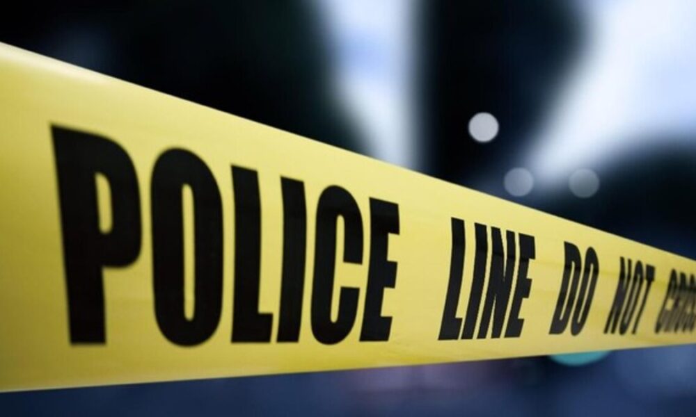 Polisi Usut Identitas Kerangka Tulang Manusia di Pinggir Tol Serpong