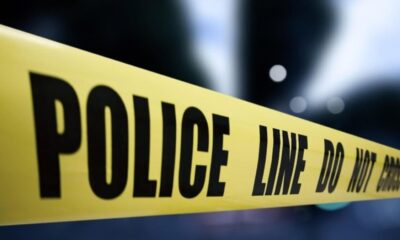 Polisi Usut Identitas Kerangka Tulang Manusia di Pinggir Tol Serpong