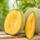 Hati-Hati! Makanan yang Tidak Boleh Dikonsumsi Bersama Melon