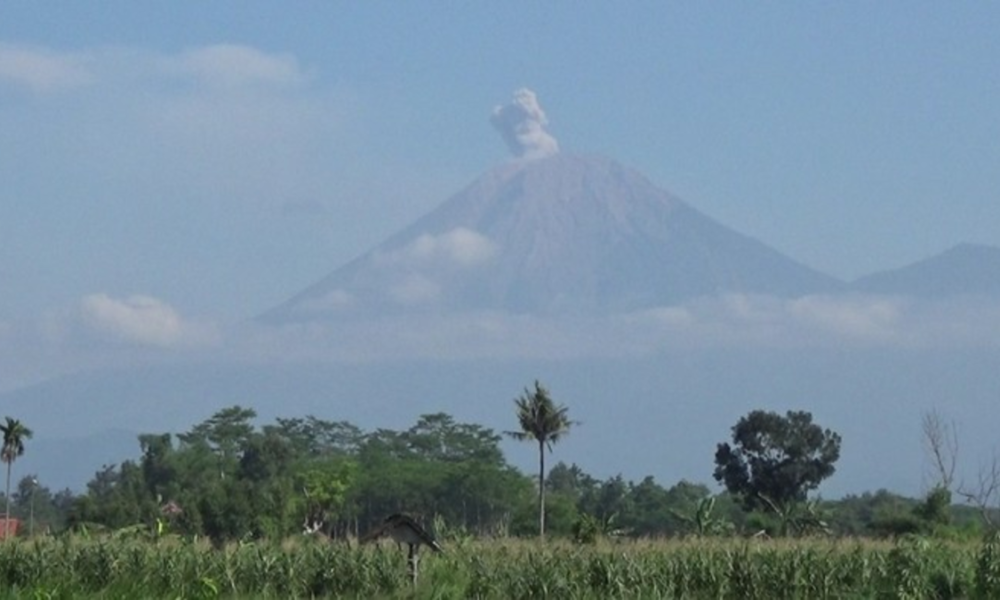 Gunung Semeru Erupsi Lagi, Tinggi Letusan Capai 800 Meter