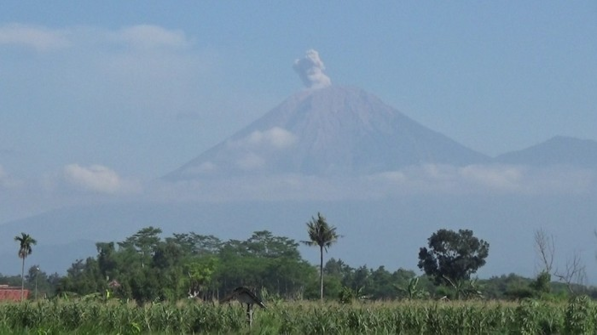 Gunung Semeru Erupsi Lagi, Tinggi Letusan Capai 800 Meter