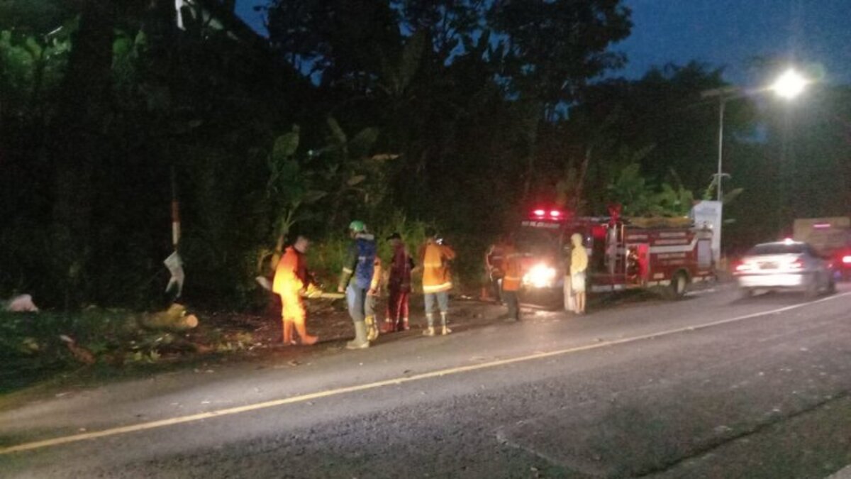 Pemotor Tewas Tertimpa Pohon di Bandung Barat