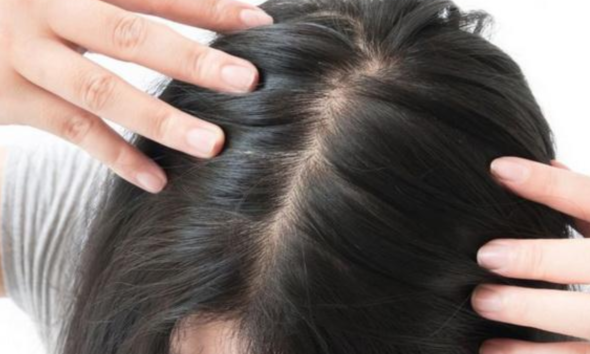 gambar rambut yang sehat