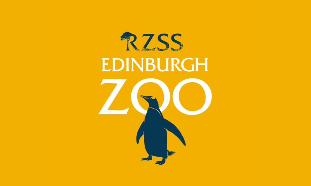 Wisata virtual Edinburgh Zoo nonton panda online..