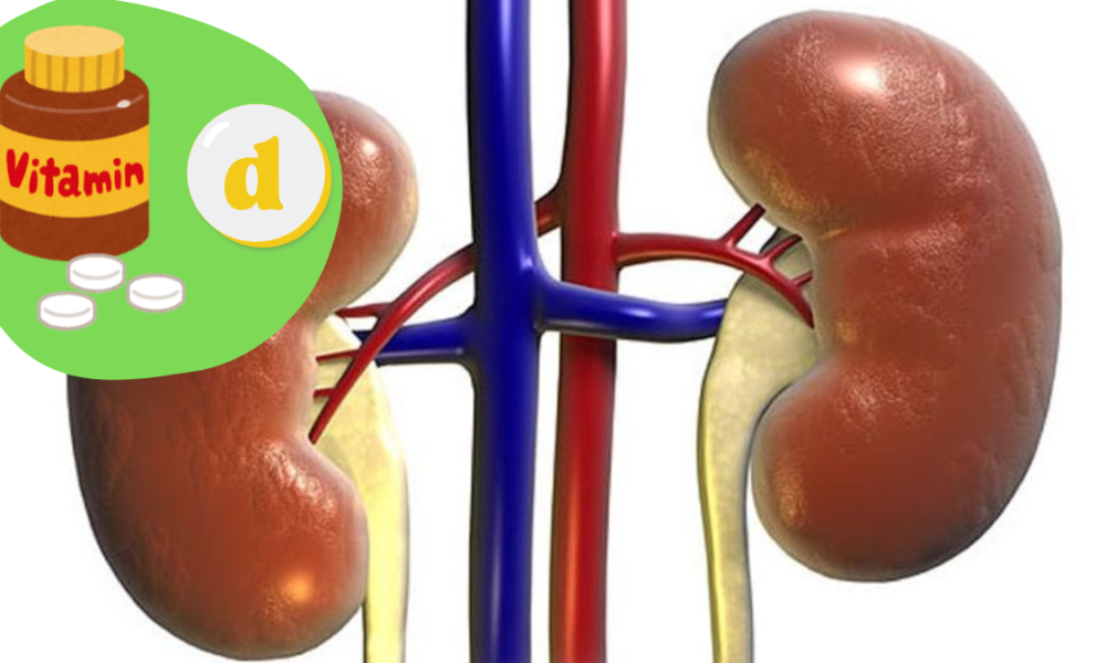 foto animasi ginjal dan vitamin d