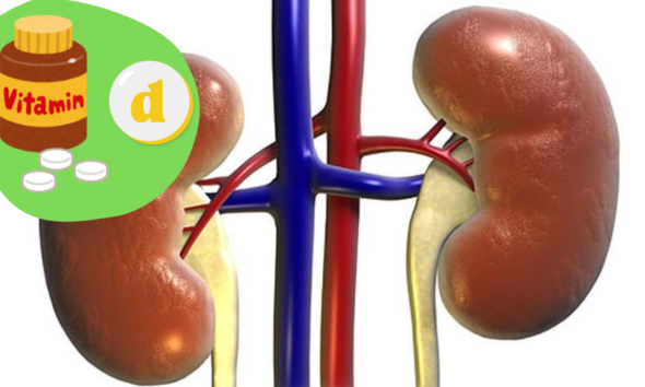 foto animasi ginjal dan vitamin d