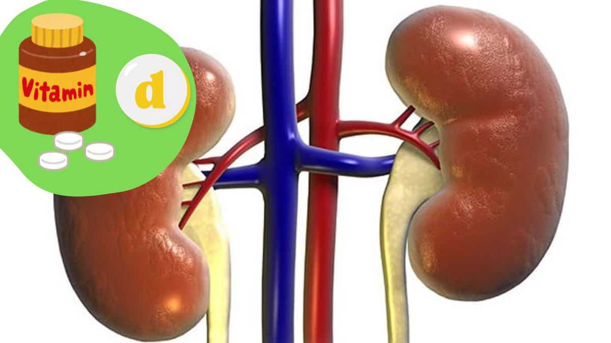 foto animasi ginjal dan vitamin d