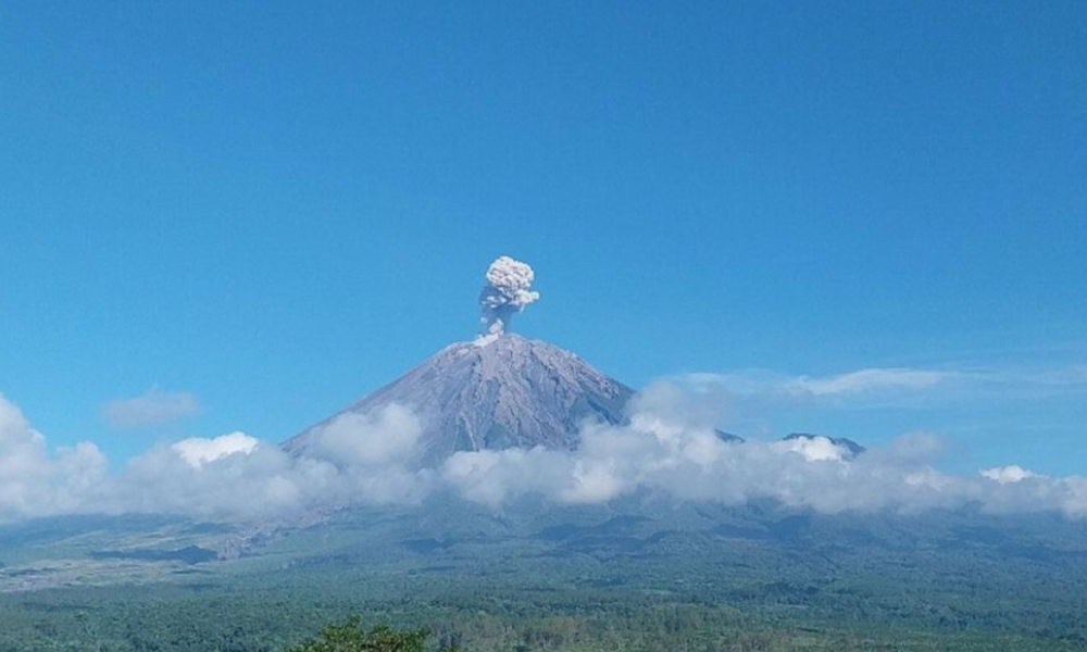 gambar gunung semeru yang sedang erupsi