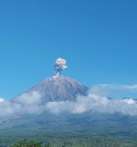 gambar gunung semeru yang sedang erupsi
