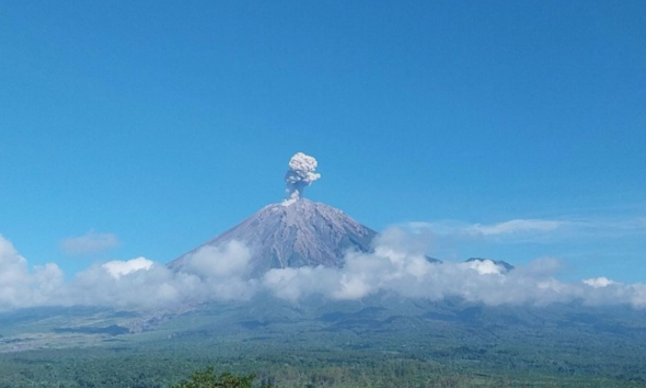 gambar gunung semeru yang sedang erupsi