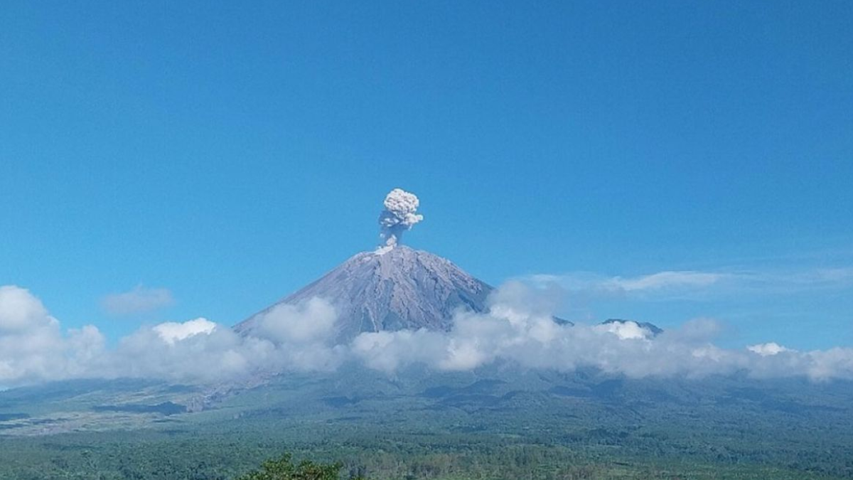 gambar gunung semeru yang sedang erupsi