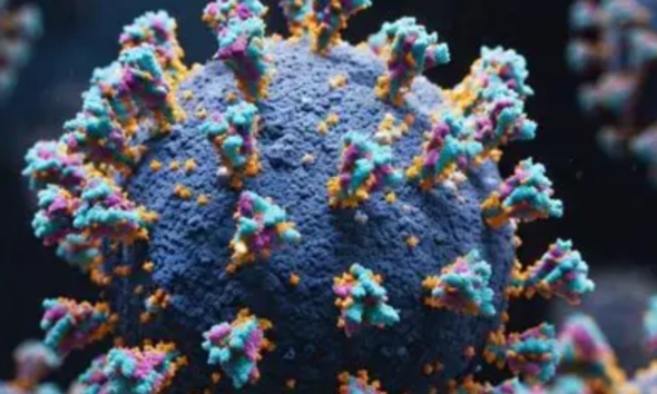 Varian baru covid cicada merebak cepat.