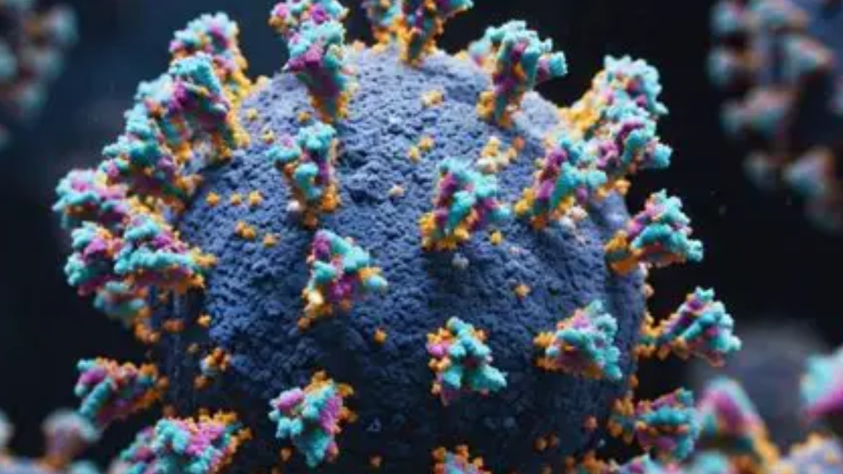 Varian baru covid cicada merebak cepat.