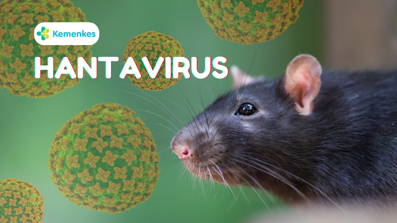 Wabah Hantavirus
