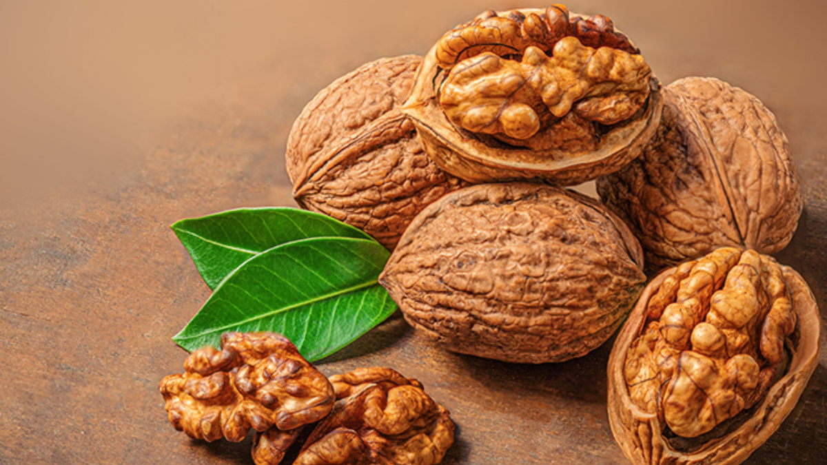 Manfaat Buah Walnut untuk Kesehatan Tubuh 51 143