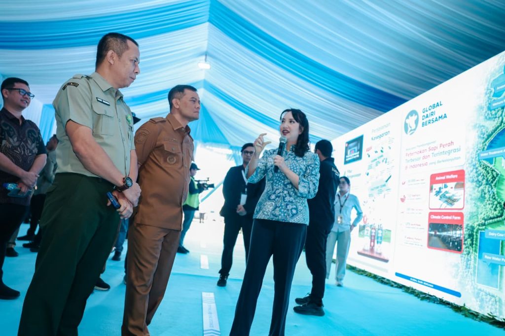 Peternakan Sapi Perah Terpadu