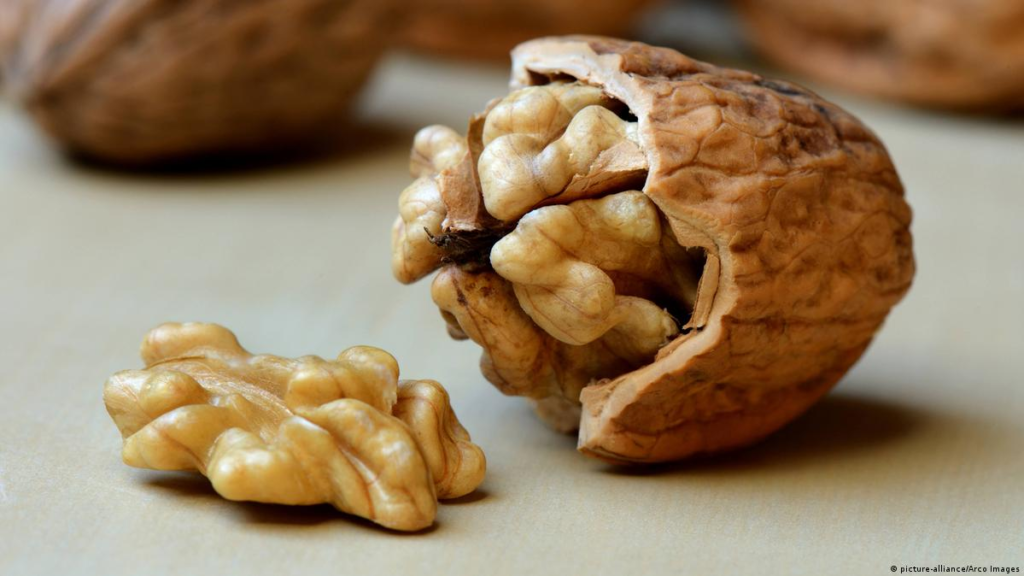 Manfaat Buah Walnut untuk Kesehatan Tubuh 53 image 275