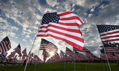 Bendera Amerika Serikat berkibar di tiang-tiang di lapangan rumput dengan latar belakang langit berawan