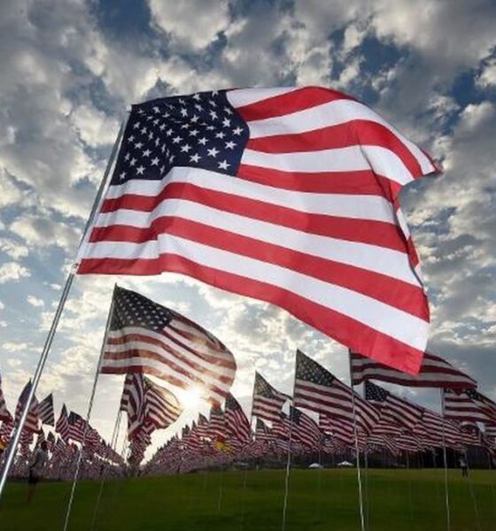 Bendera Amerika Serikat berkibar di tiang-tiang di lapangan rumput dengan latar belakang langit berawan