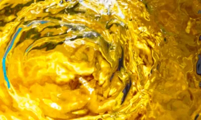 6666805a43bcb827cc2517e9 Minyak Goreng Kelapan Sawit 1