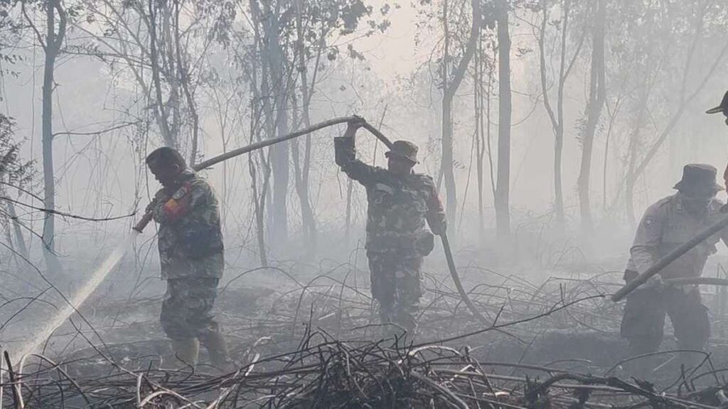 Pemadaman Karhutla Kampar Mencekam 1 Kapolres Dikepung Asap Tebal 52 Pemadaman Karhutla dikelilingi asap tebal, Petugas gabungan berjibaku memadamkan kebakaran hutan dan lahan yang dipenuhi asap pekat di tengah pepohonan